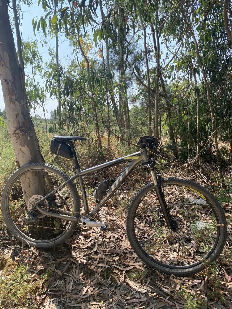 Bicicleta BTT SCOTT Scale 950 29 M