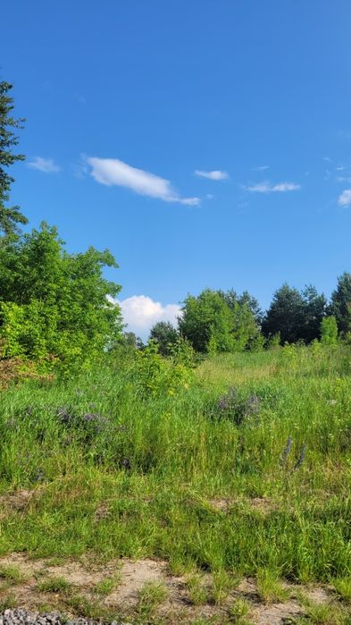 Продаж ділянки під будівництво Осикове