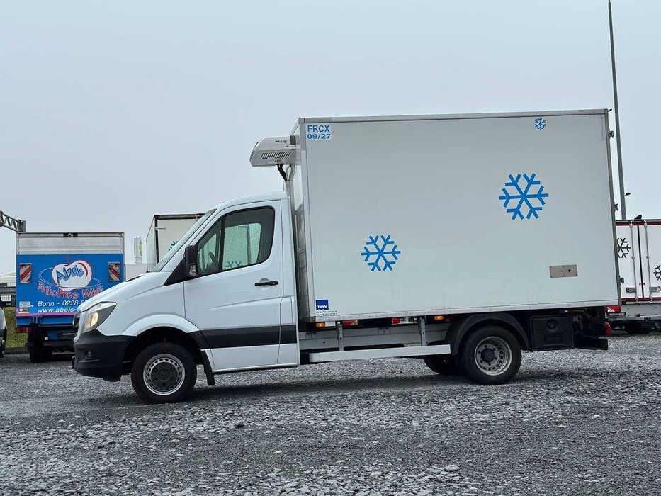 Mercedes-Benz Sprinter 2016p. Мясник