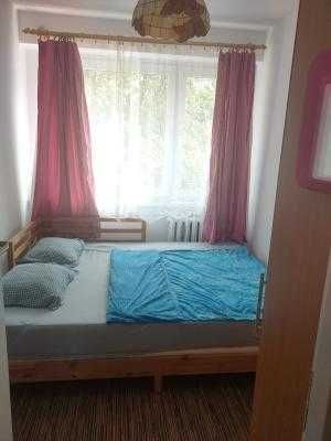 Mieszkanie /apartament, nocleg w Toruniu