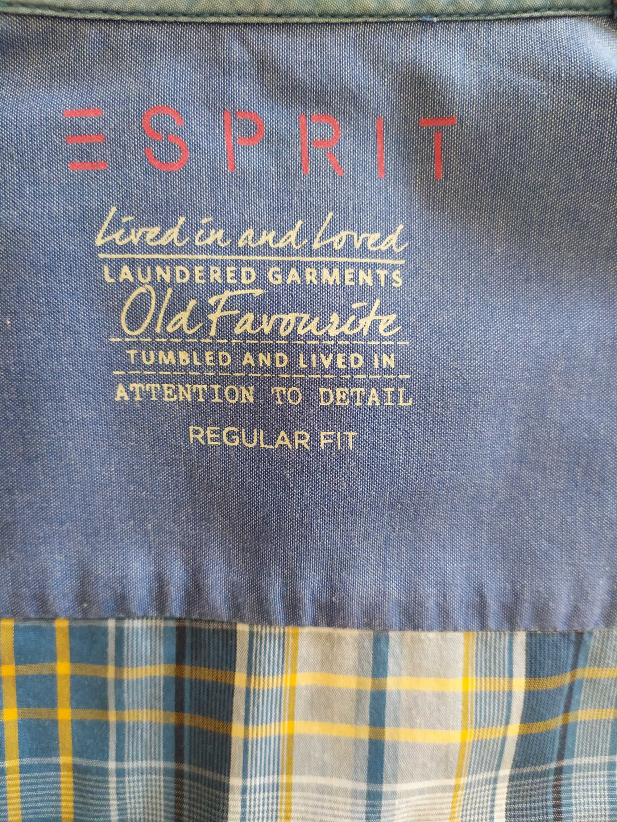 Camisa homem, Esprit, tam. L