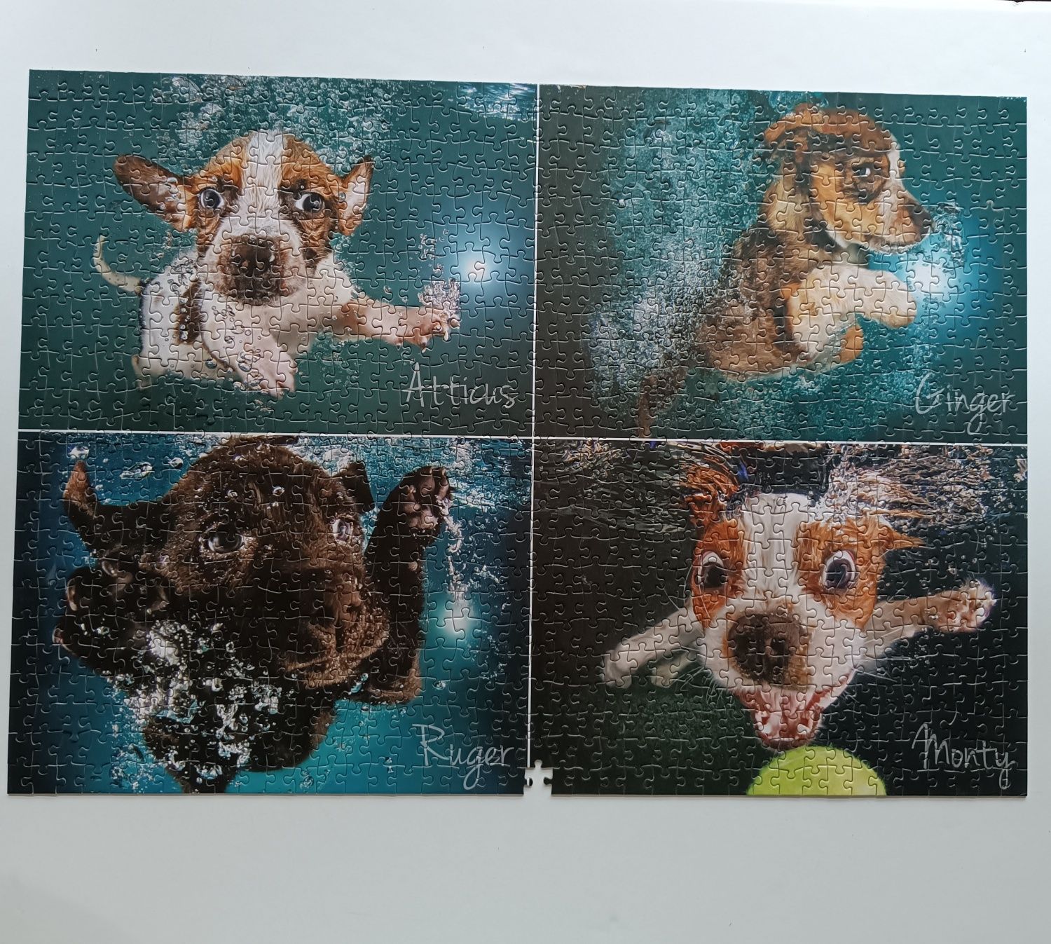 Puzzle 1000 peças Underwater dogs