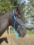 Błękitny turkusowy halter COB