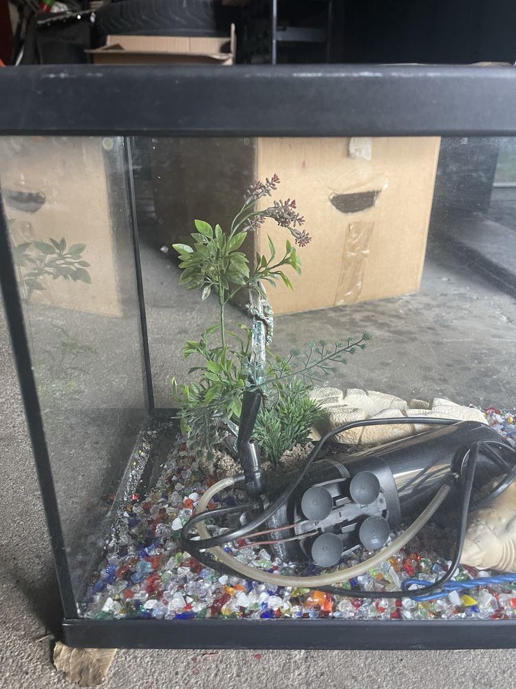 Aquario pequeno