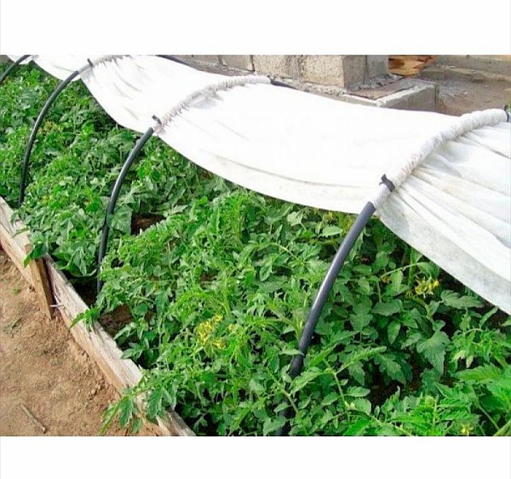 Парник Агроволокна 6м 8м 4м 3м 60г Теплиця Теплица Спанбонд Тепличка