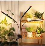 Lampa LED do roślin Orchbloom 27W z timerem