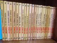 Coleções Livros Juvenis
