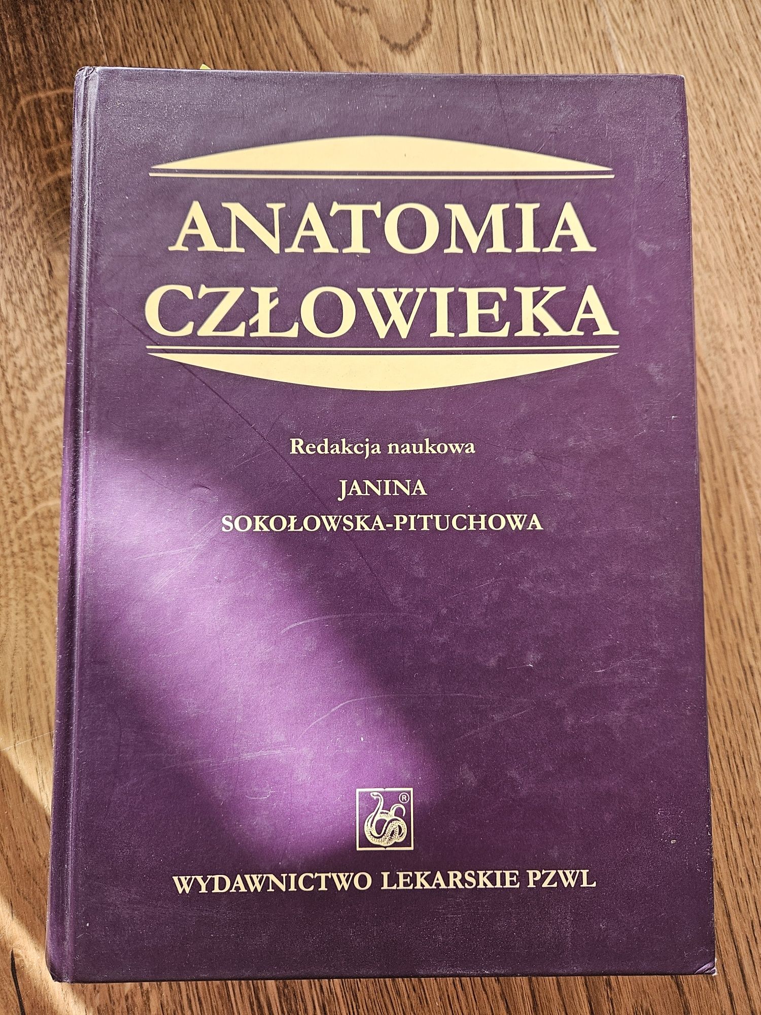 Anatomia Czlowieka Janika Sokołowska Pituchowa