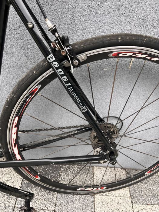 Szosa Windsor Ultegra r.55