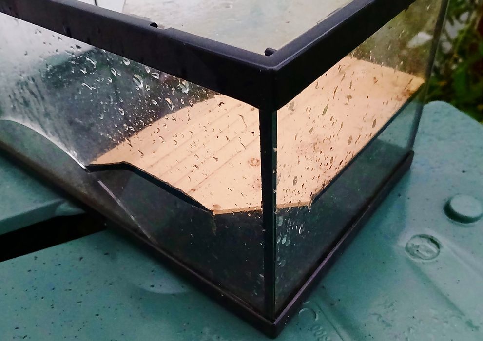 Aquário para répteis (tartaruga, etc)