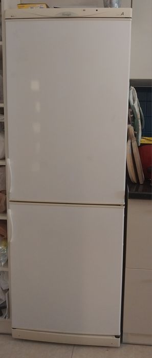 Двохкамерний Холодильник Snaige