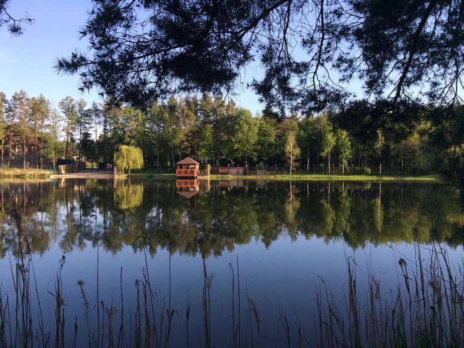 Земельна ділянка у СТ "Полісся 2006" власне озеро ліс Блиставиця