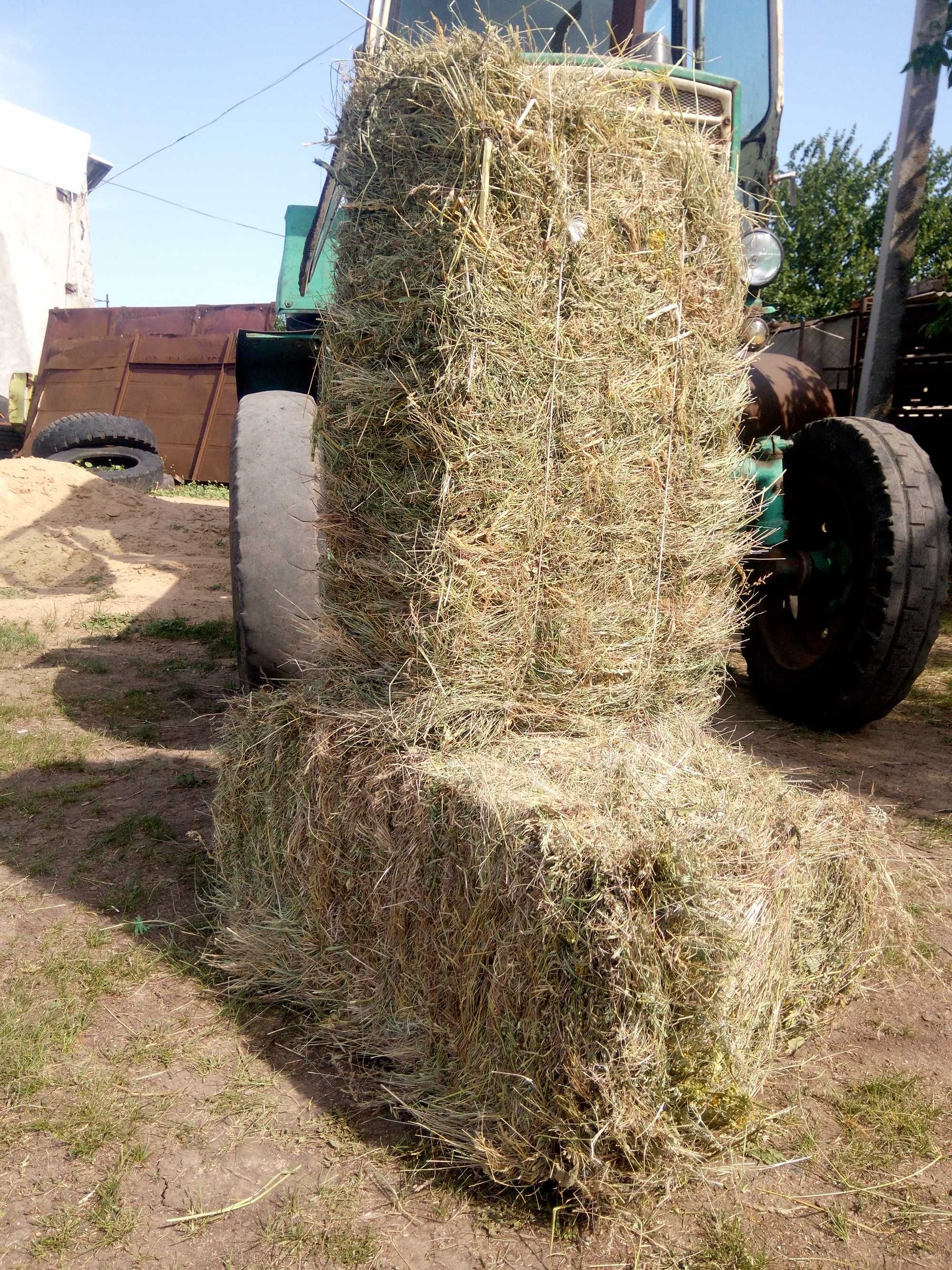 Сіно, солома, люцерна