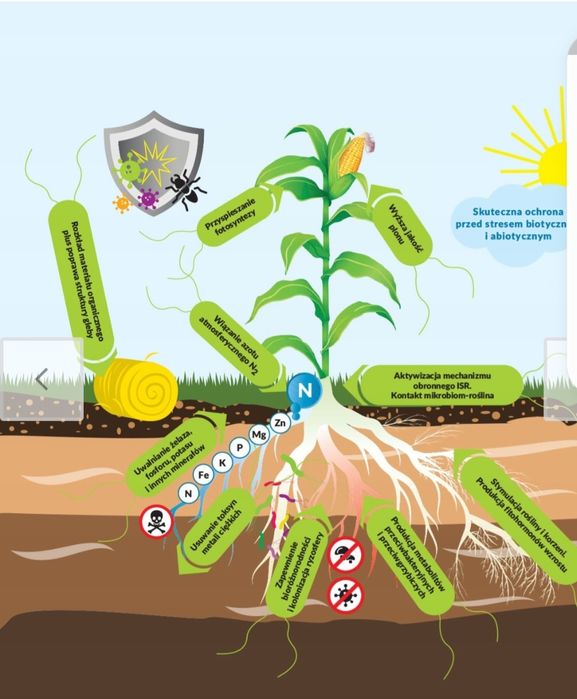 Nutri bio fert azot z powietrza
