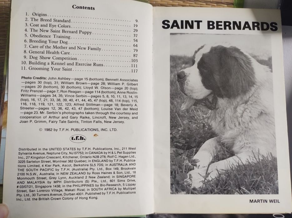 Bernardyny bernardyn, Saint bernards - książka ilustrowana, kolekcja
