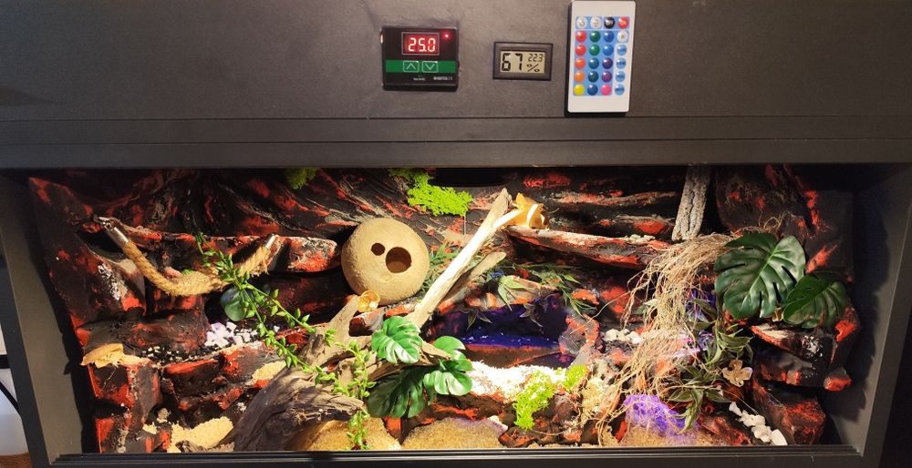 Gotowe terrarium dla węża w pełni wyposażone