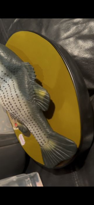 Співаюча риба. Хороший подарунок рибацюгам і мисливцям. 2пісні в репер