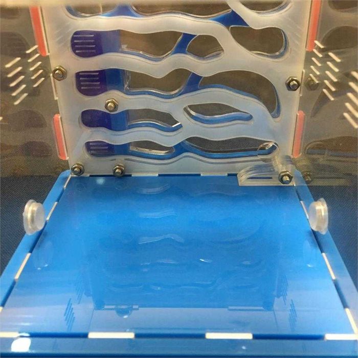 Formicario Ant Farm Formicarium formigas estimação com bebedouro NOVO