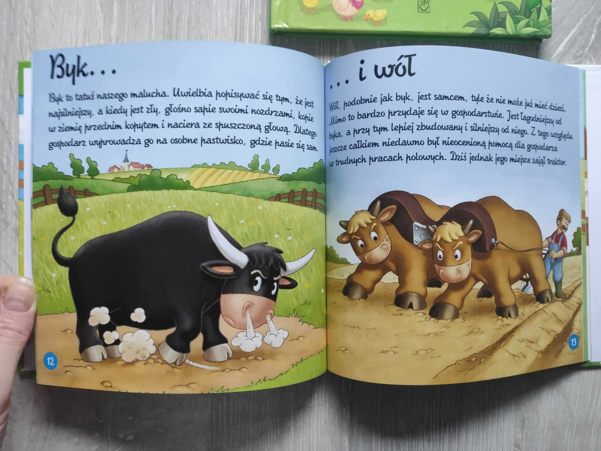 w wiejskie zagrodzie - zestaw książek dla młodszych dzieci