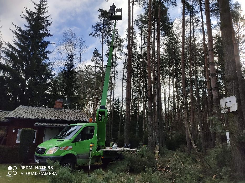 Wycinka drzew, usługi rębakiem, podnośnik koszowy, czyszczenie działek