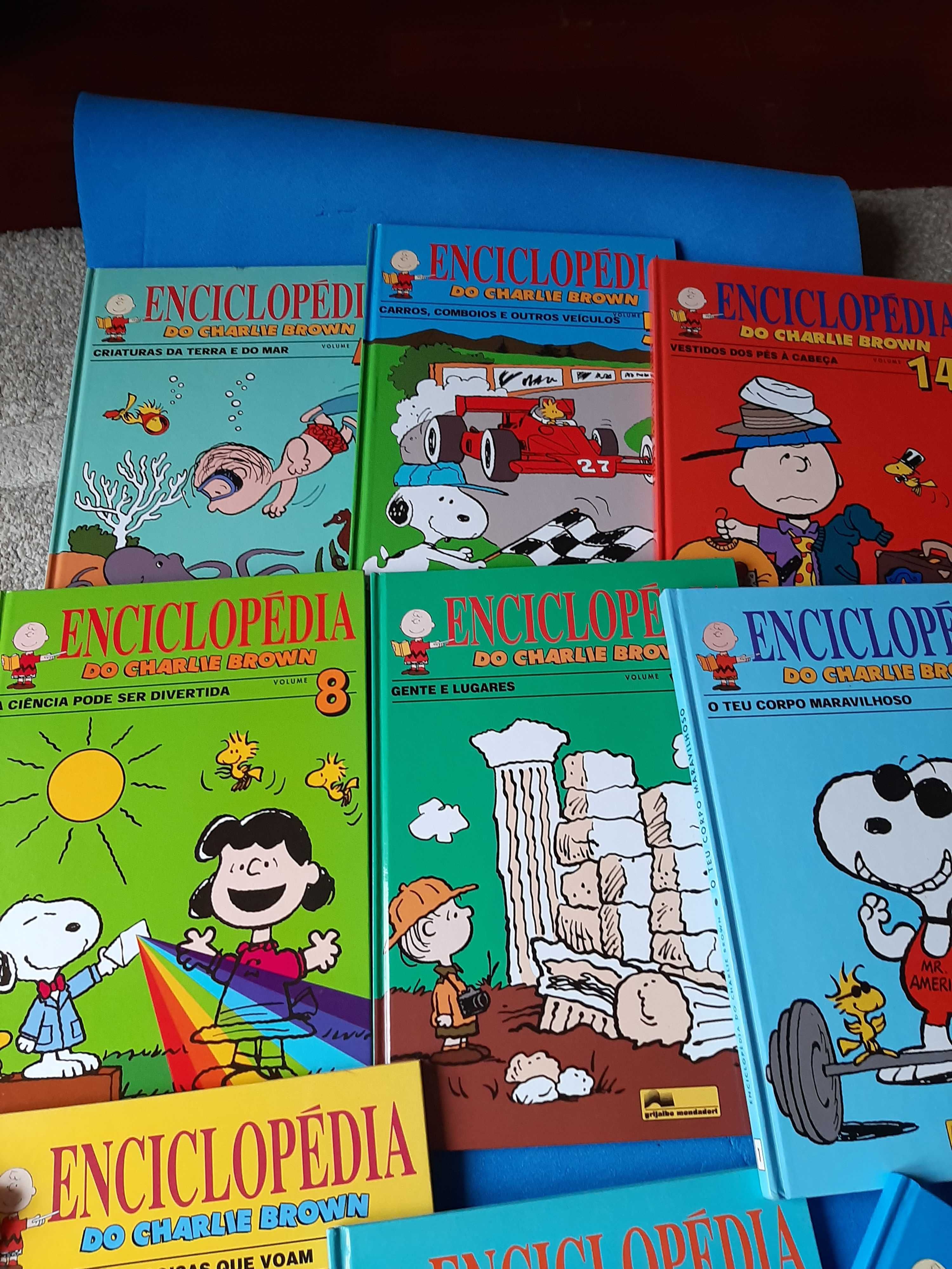 Enciclopédia Charlie Brown  15 livros novos