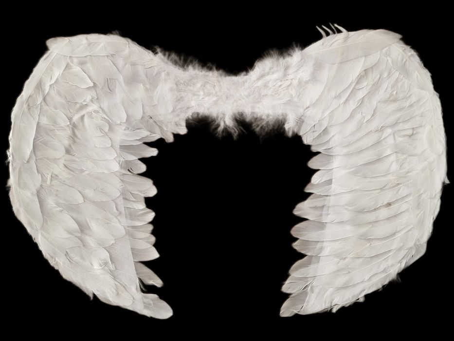 Skrzydła Anioła Przebranie Strój Kostium Jasełka Skrzydła 55x39