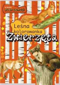 Leśna kolorowanka. zwierzęta - Katarzyna Kopiec-Sekieta, Eliza Goszcz