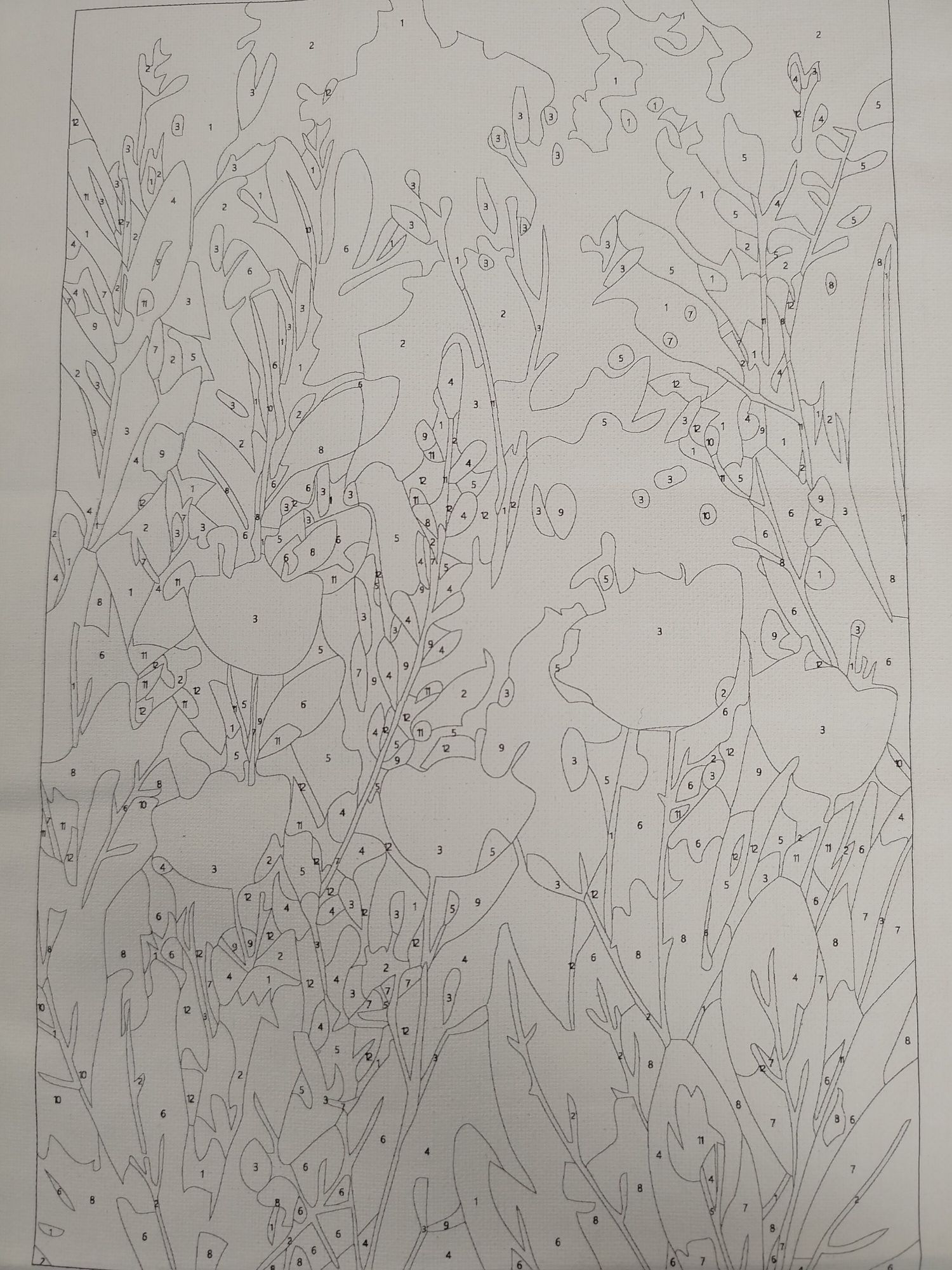 Malowanie po numerach 20x30 kwiaty