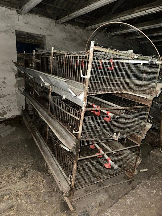 Клітки для курчат