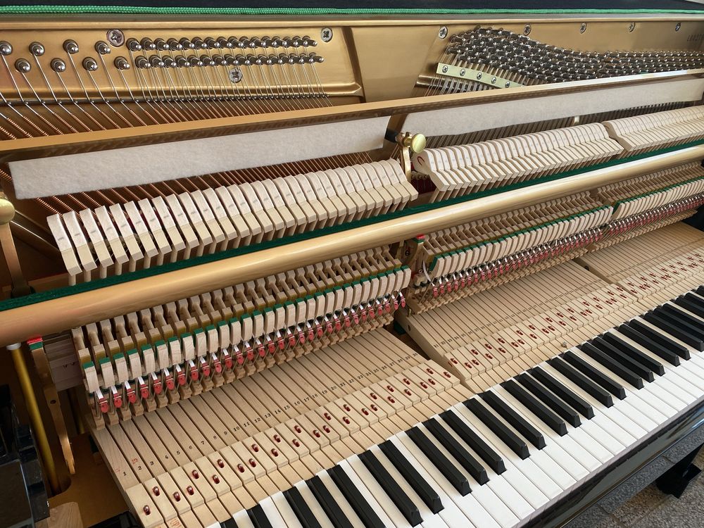 Piękne, czarne pianino Ritmuller