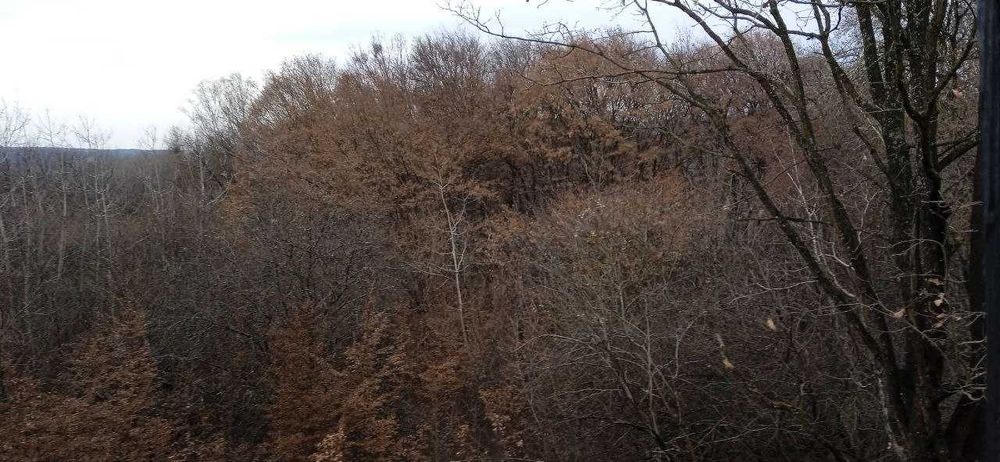 Здається Дім(дача) біля лісу та озера для житла і вдаленої роботи