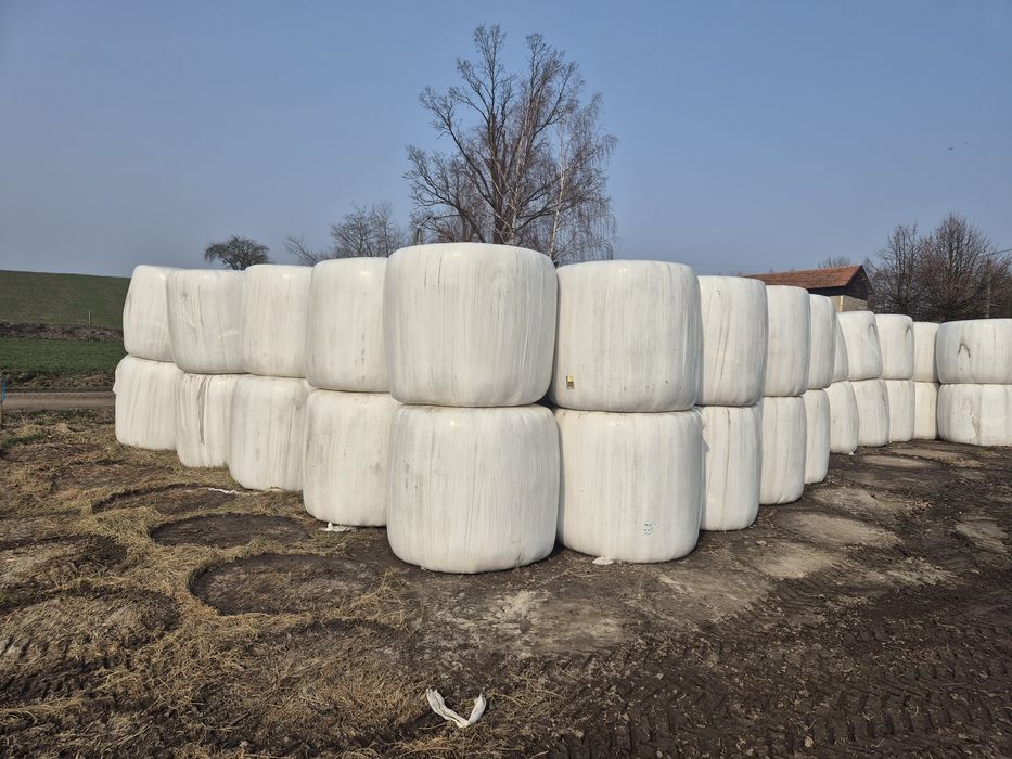Baloty sianokiszonka, kiszonka bele, siano suche