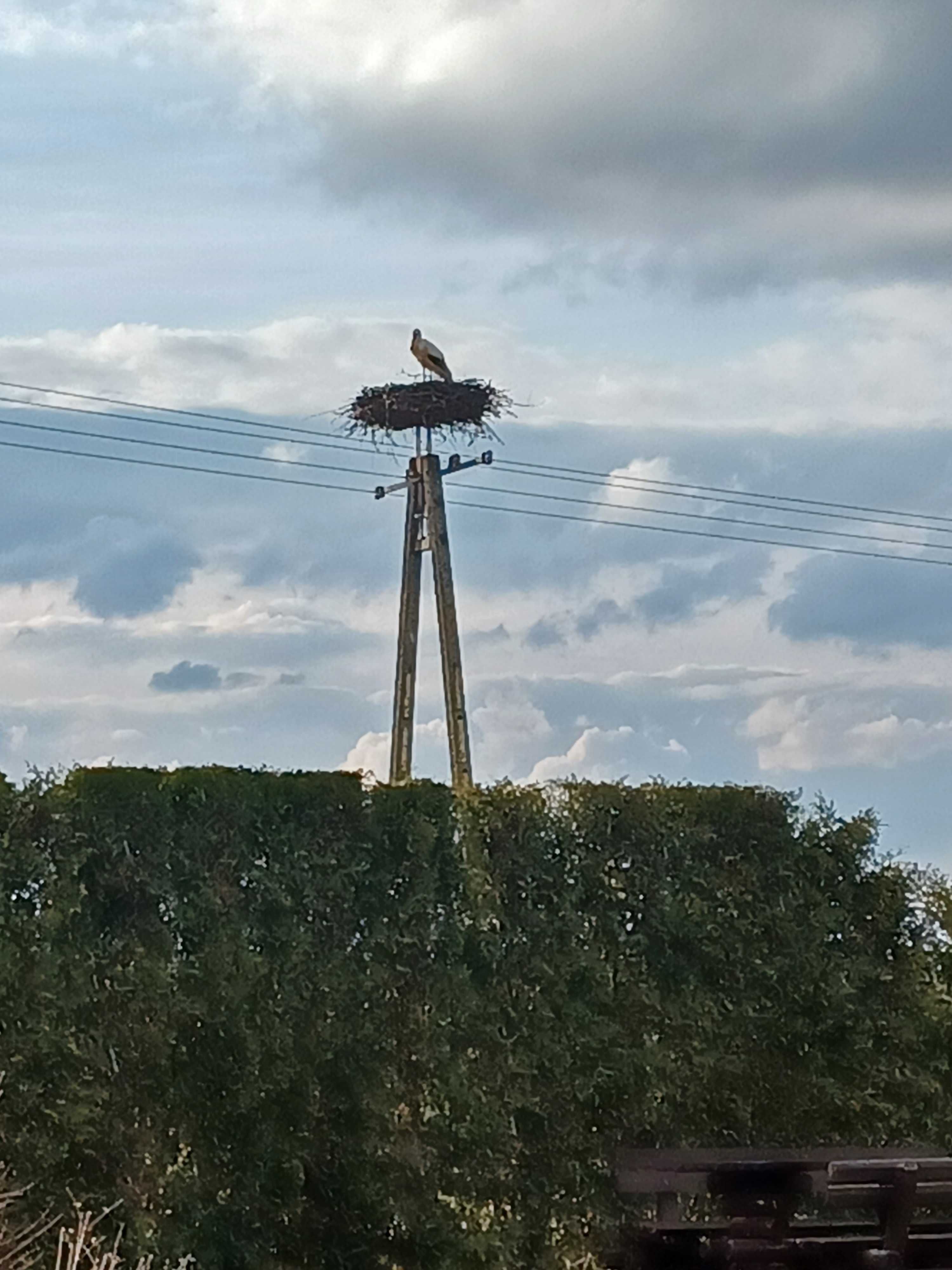 Domki ,, Zakątek nad rzeką"