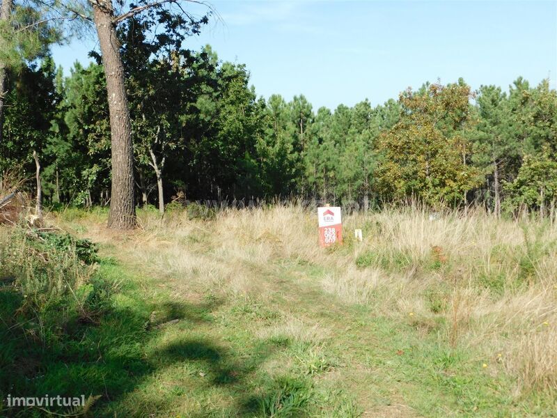 Terreno / Seia, Seia, São Romão e Lapa dos Dinheiros
