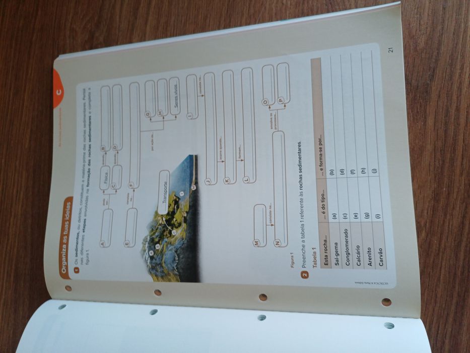 Caderno de actividade ciencias geo cientic 7