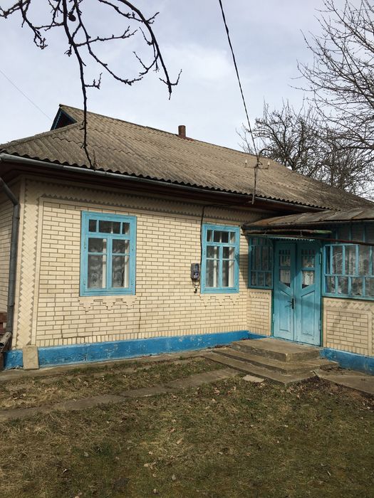 Продається будинок в с.Поташня