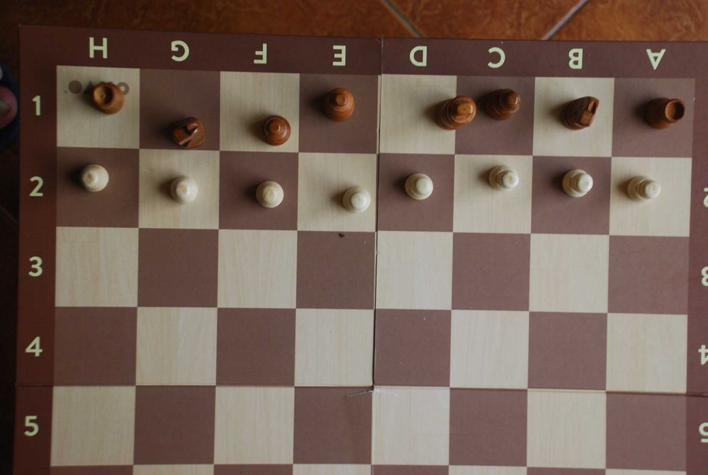 Xadrez Olivo completo