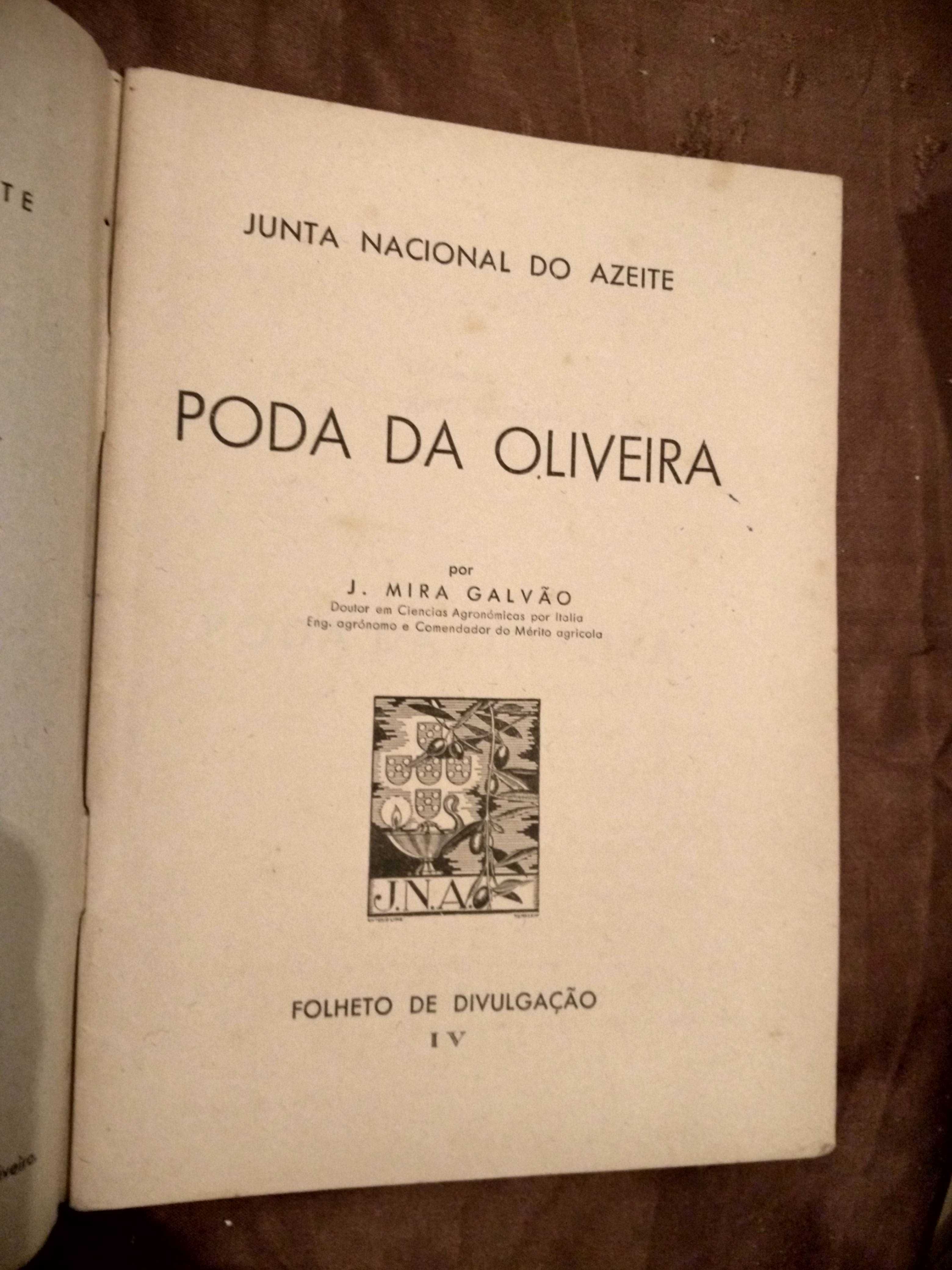 PODA DA OLIVEIRA - por MIRA GALVÃO