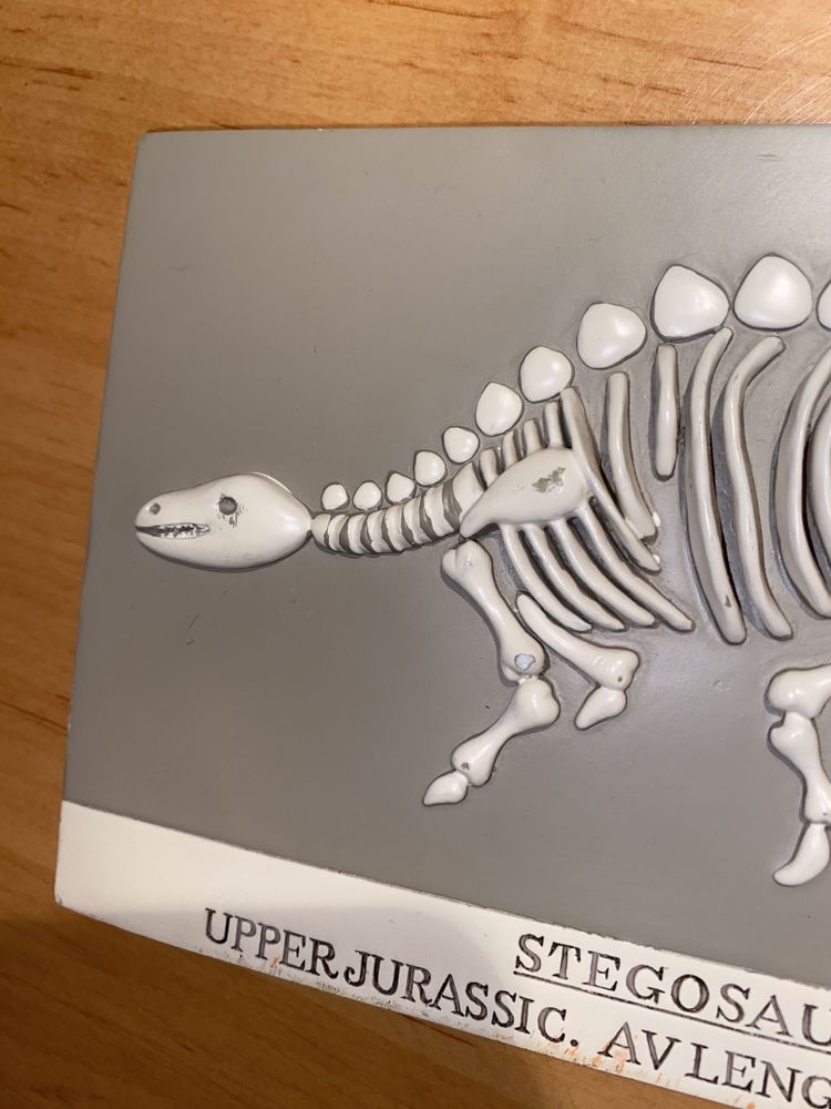 Ciężki odlew z gipsu Stegosaurus