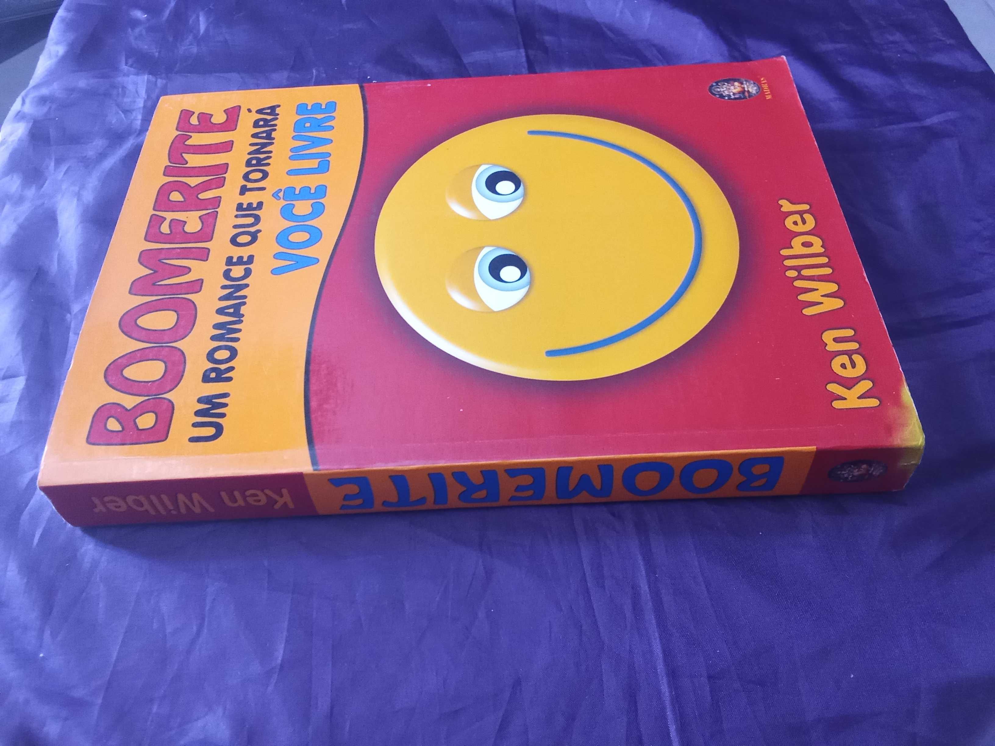 Boomerite - Ken Wilber