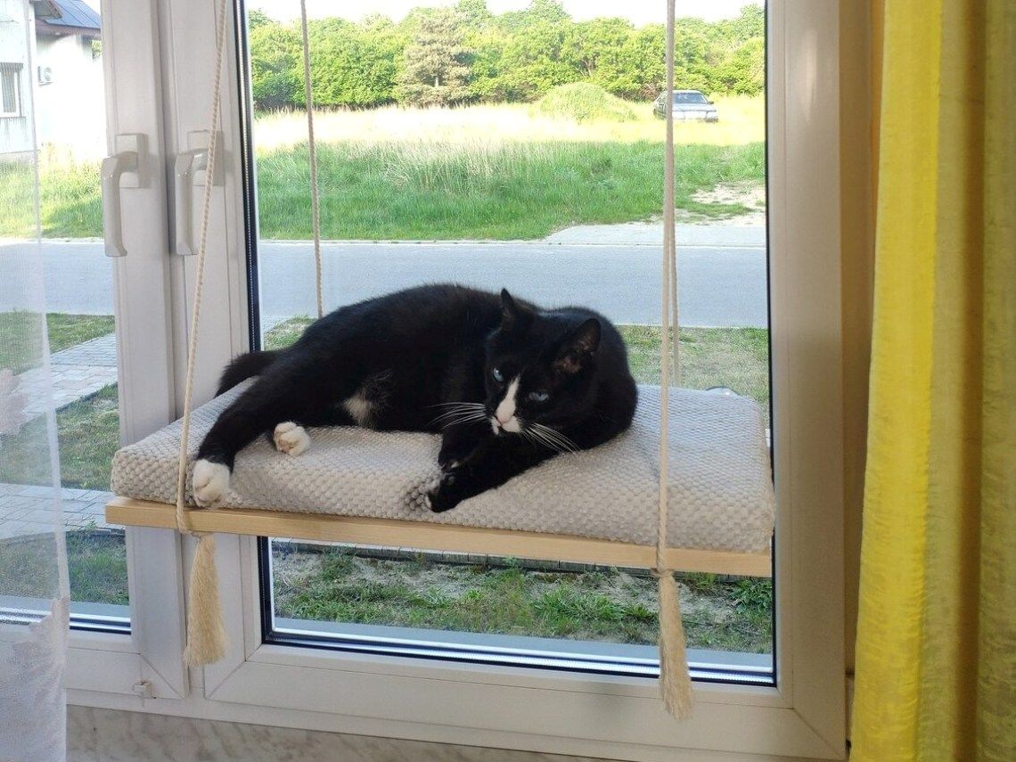 Drewniana półka okienna dla kota PŁASKA 60 cm