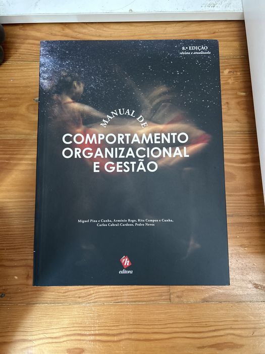 Comportamento organizacional e gestão