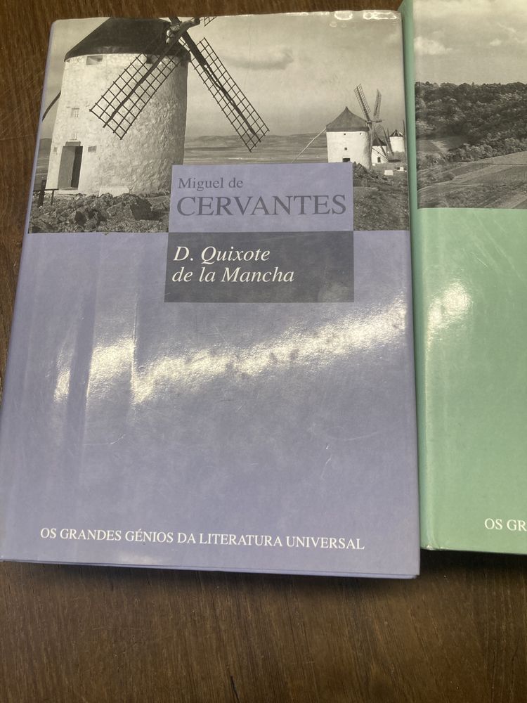 D. Quixote de La Mancha- Miguel Cervantes