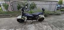 Pojazd elektryczny Fanttum Bishop 3000w