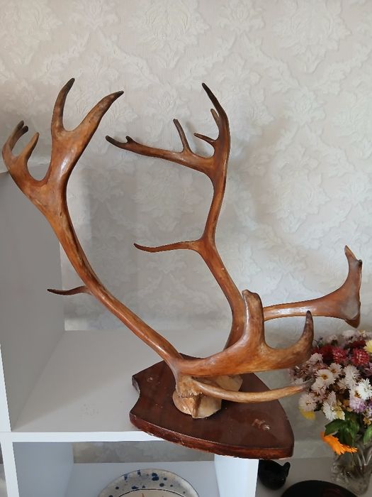 Роги оленя, ручна робота