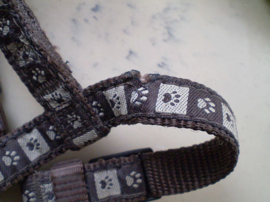 szelki dla psa trixie rozmiar xs-s