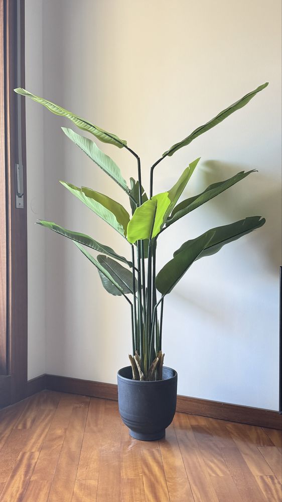 Planta artificiais Strelitzia Nicolai 167cm + Vaso