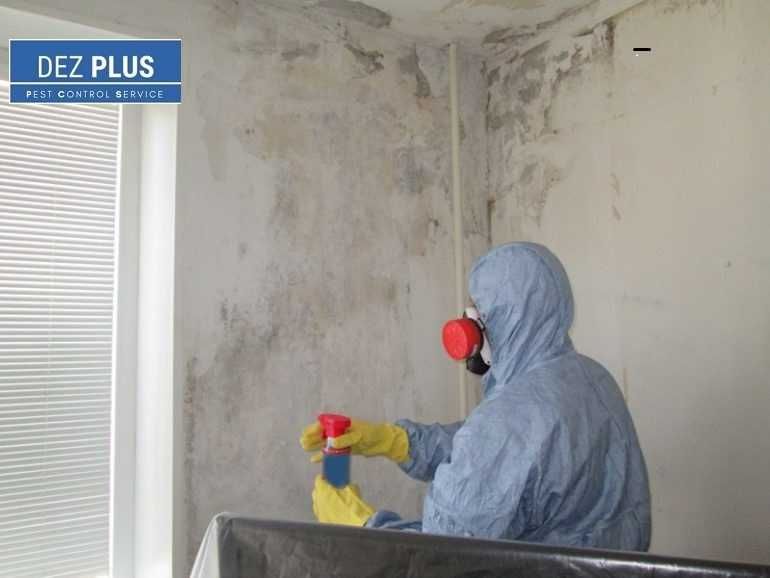 Професійне знищення тарганів, клопів, бліх, гризунів і т.д.