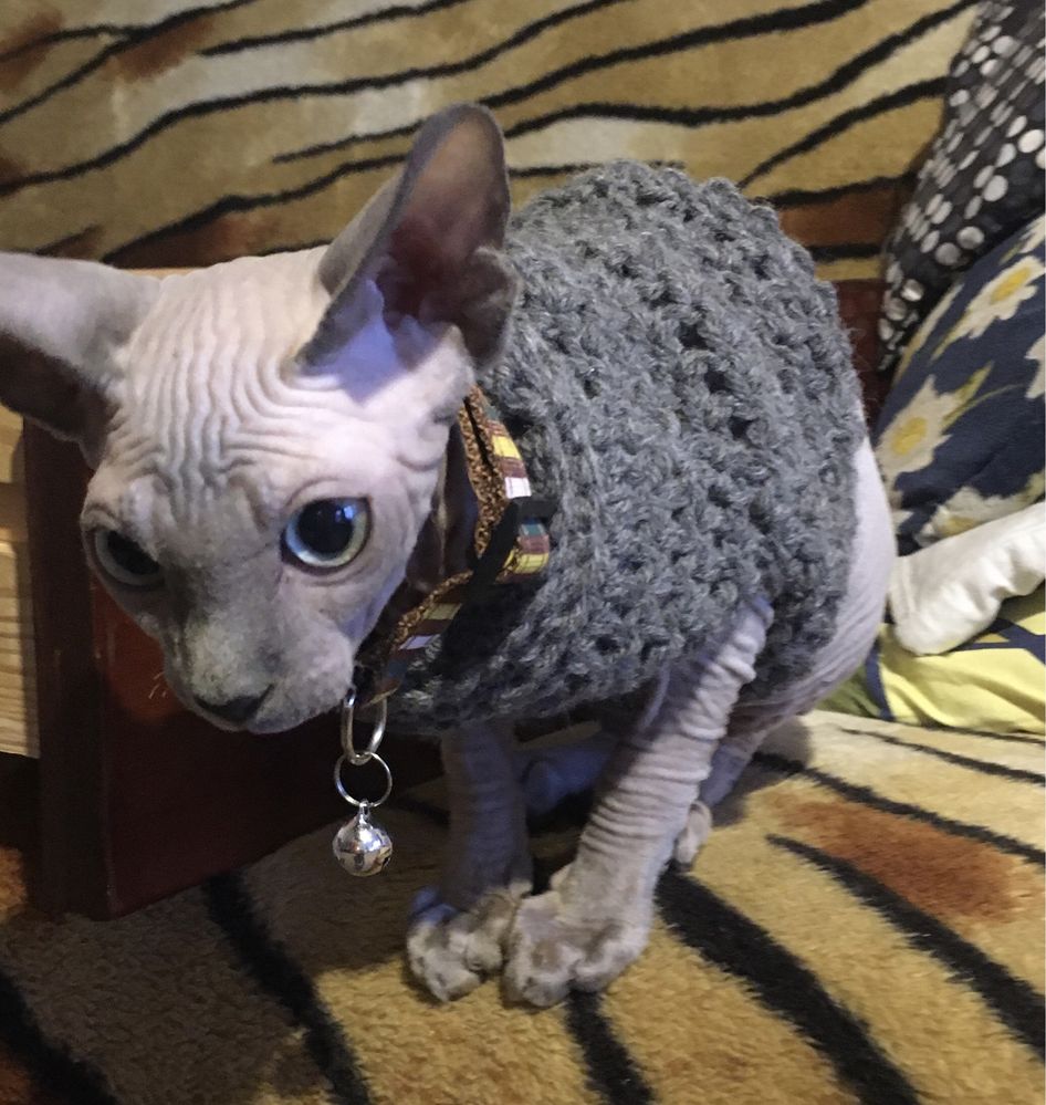 Вязаный свитер для котов и собак маленьких пород