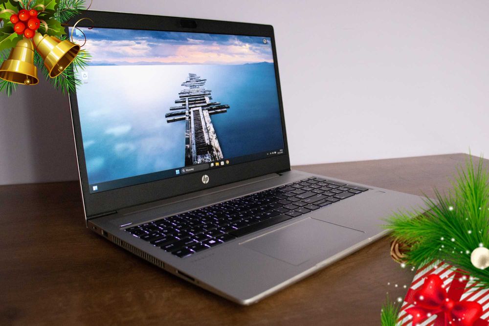 HP ProBook 450 G7  i5 10 gen  16 GB RAM  256 GB  Win 11